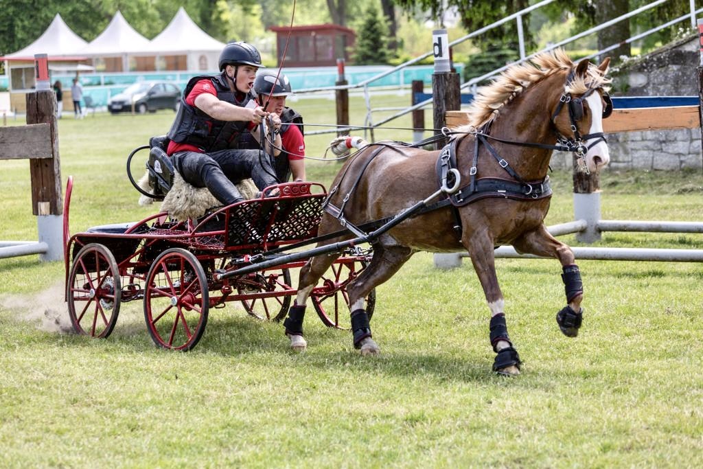 Strzegom Horse Trials 2023.06.2024 Puchar Narodów w WKKW FEI