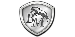 bmhorse