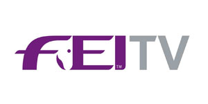 fei tv