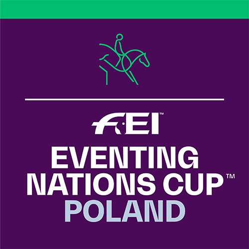 Logo FEI NC Eventing